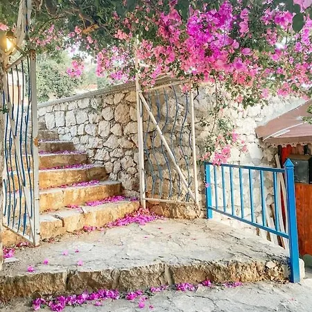 Feraye فيلة